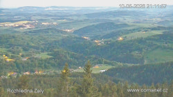 Žalý