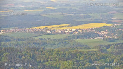 Žalý