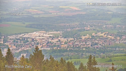 Žalý
