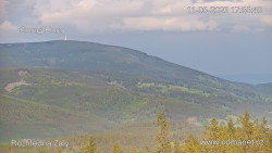 Žalý