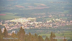 Žalý
