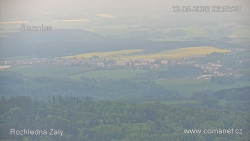 Žalý