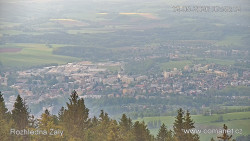 Žalý