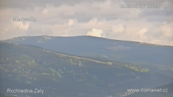 Žalý
