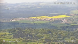 Žalý