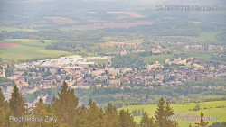 Žalý