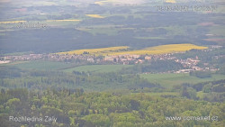 Žalý