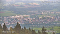 Žalý
