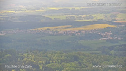 Žalý