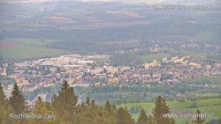 Žalý