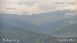 Žalý