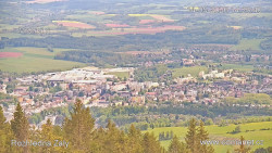 Žalý