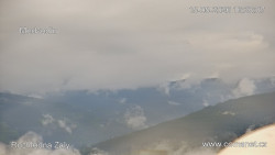 Žalý