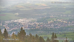 Žalý