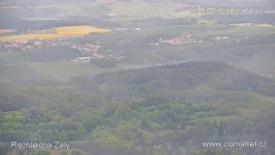 Žalý