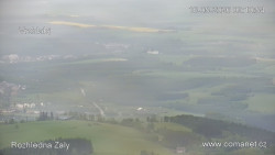 Žalý