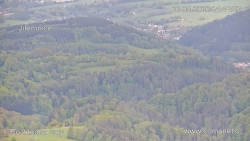 Žalý