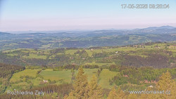 Žalý