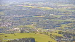 Žalý