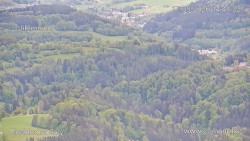 Žalý