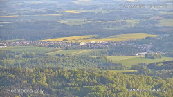 Žalý