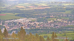 Žalý