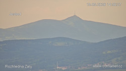 Žalý
