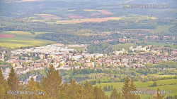 Žalý