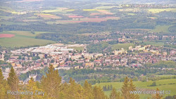 Žalý