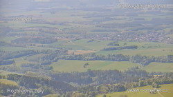 Žalý