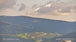 Žalý