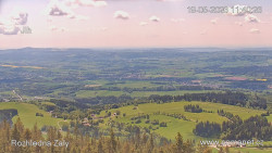Žalý
