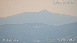 Žalý