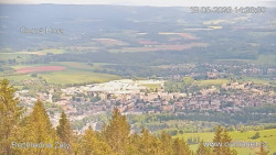 Žalý