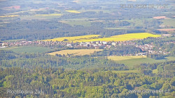 Žalý