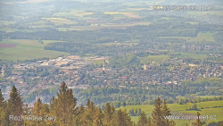 Žalý