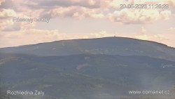 Žalý