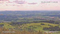 Žalý