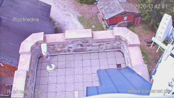 Žalý