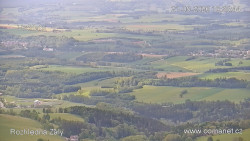 Žalý