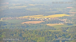 Žalý