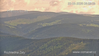 Rozhledna Žalý