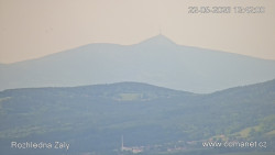 Žalý