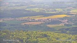 Žalý