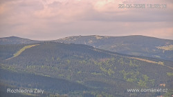 Žalý