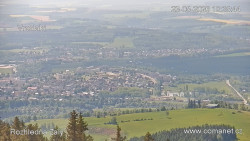 Žalý