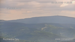 Žalý