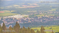 Žalý