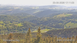 Žalý