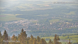Žalý